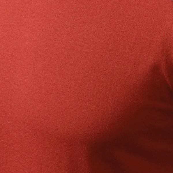 T-shirt homme contrasté à manches longues - 100% coton pour un confort maximal