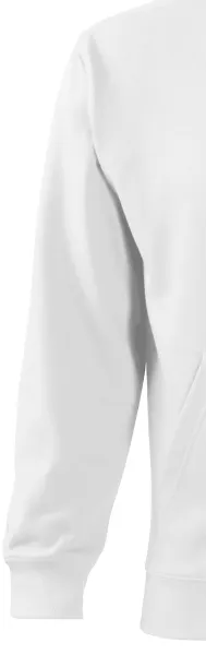 Sweat homme à capuche - manches longues classiques