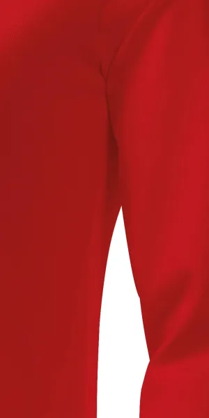 T-shirt ajusté à manches longues pour femme - Coupe avec coutures latérales